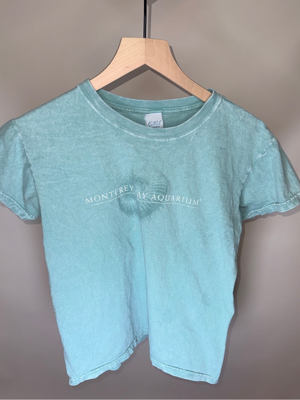 Light Aqua Monterey Bay Aquarium Graphic Tee